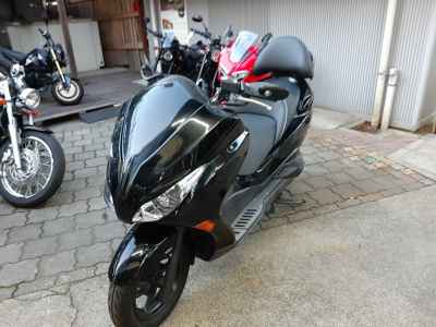 Honda Forza Z