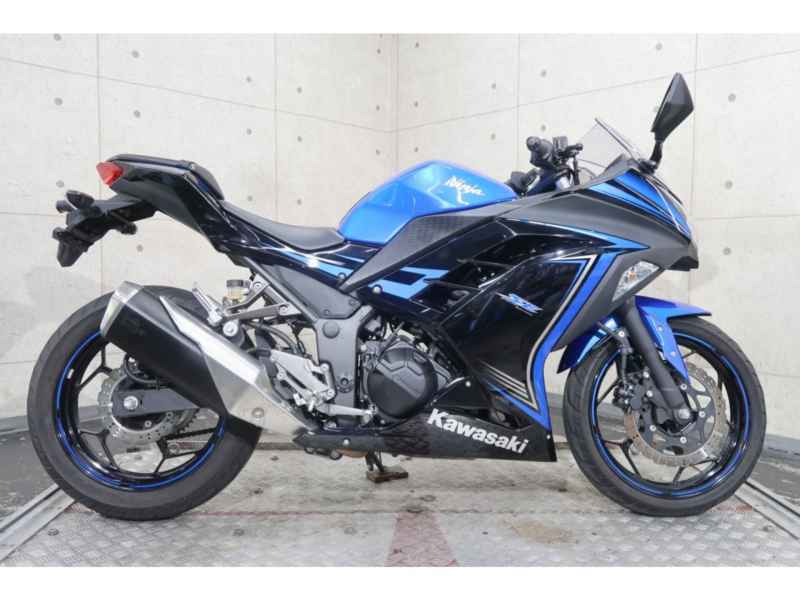 Kawasaki Ninja 250 Special Edition