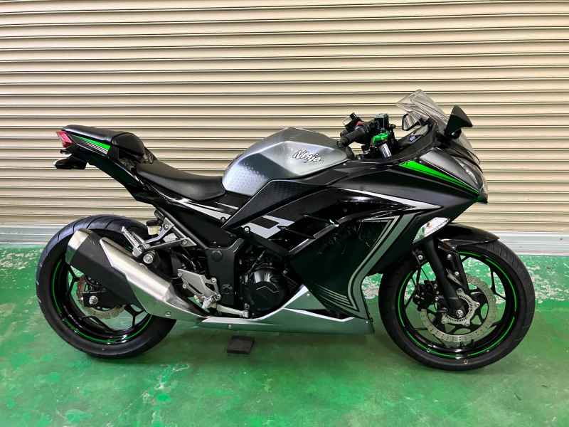 Kawasaki Ninja 250