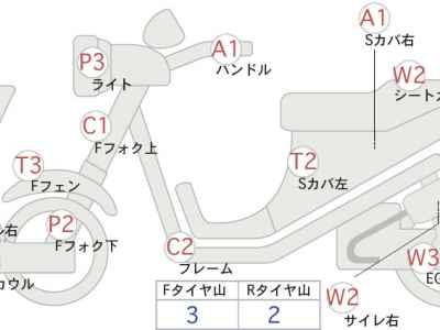Suzuki Gemma 250