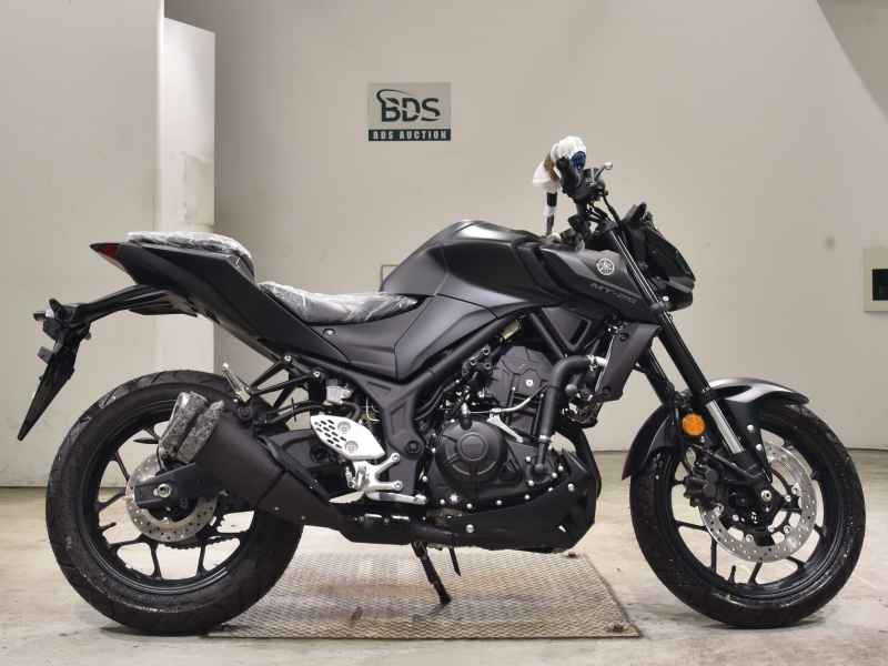 Yamaha MT-25