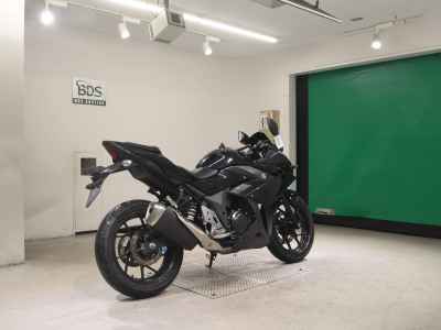 Suzuki GSX250R