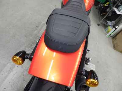Harley-Davidson X500 2024