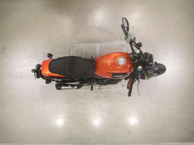 Harley-Davidson X500 2024