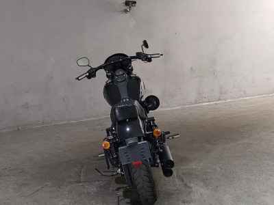 Harley-Davidson FXDLS1800 2016