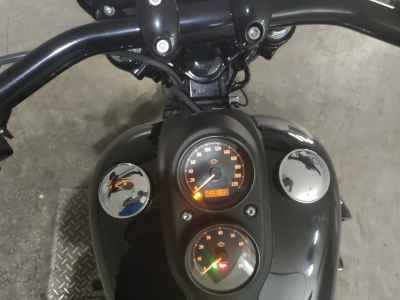 Harley-Davidson FXDLS1800 2016