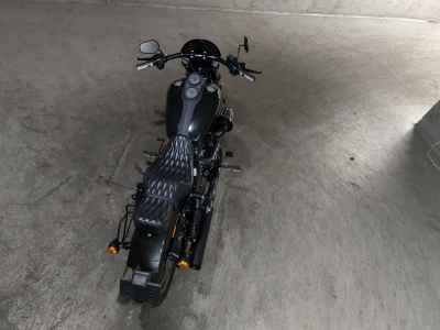 Harley-Davidson FXDLS1800 2016