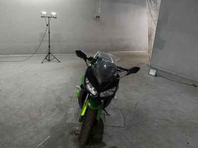 Kawasaki Ninja 1000 2011