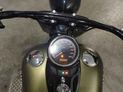 Harley-Davidson FLSS1800 2017