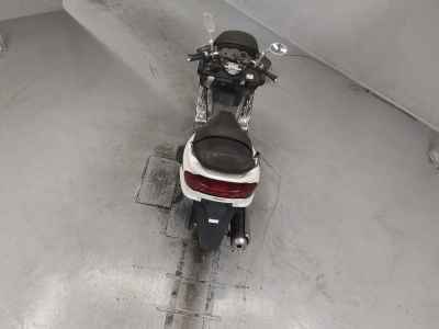 Yamaha Majesty 250