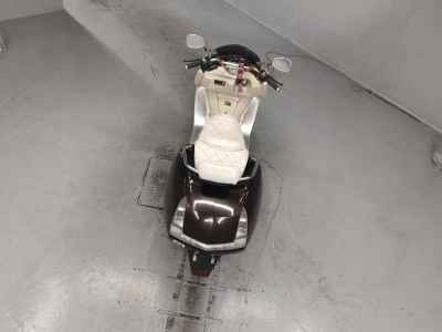 Yamaha Maxam 250