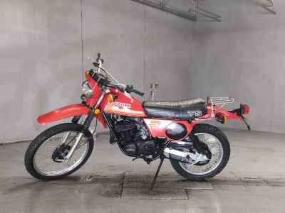 Suzuki TS250