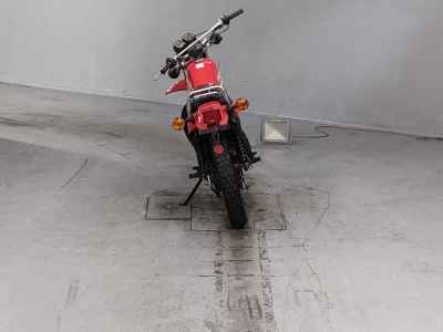 Suzuki TS250