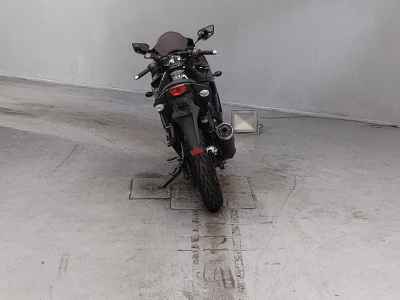 Kawasaki Ninja 250R