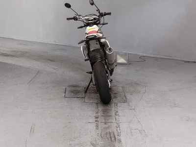 Suzuki DR250S