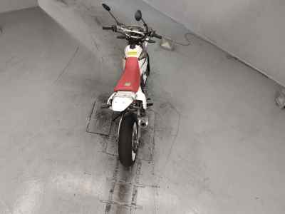 Suzuki DR250S