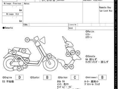 Suzuki Skywave 250