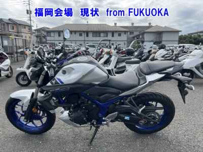 Yamaha MT-25 2016