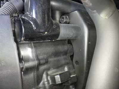 Honda Rebel CMX1100 DCT 2021