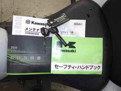 Kawasaki Z650 2022