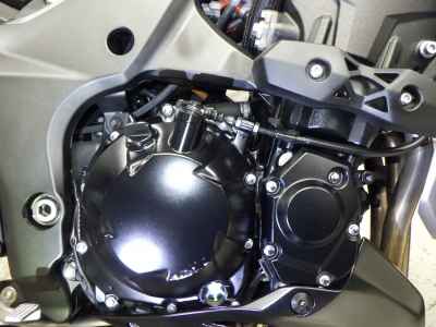 Kawasaki Z1000 2021