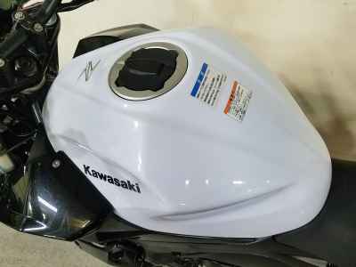 Kawasaki Z250 2019