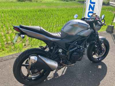 Suzuki SV650S 2021