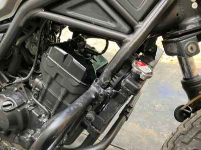 Honda Rebel CMX250 2020