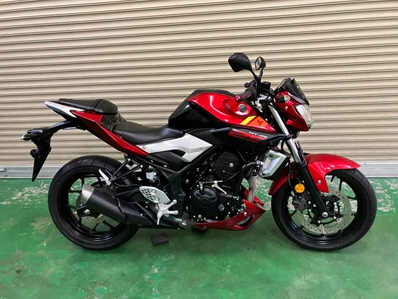Yamaha MT-25 2016