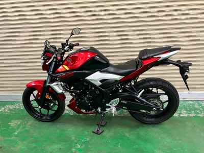 Yamaha MT-25 2016