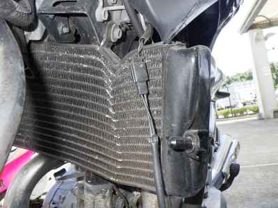 Suzuki GSR250
