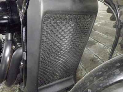 Harley-Davidson Street Rod XG750 2017