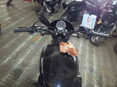 Harley-Davidson Street Rod XG750 2017