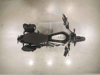 Ducati Scrambler Icon 2024