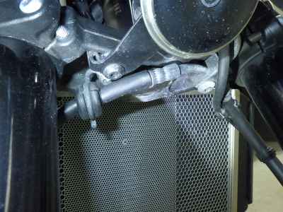 Kawasaki Z900RS Cafe 2020