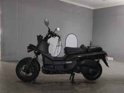 Honda PS250 Big Ruckus