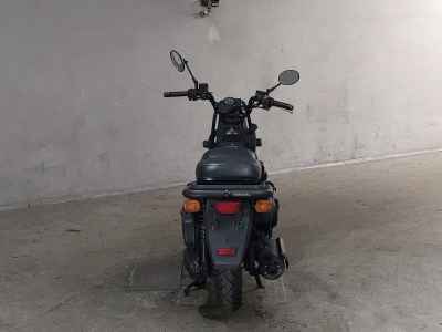 Honda PS250 Big Ruckus
