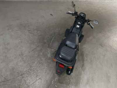 Honda PS250 Big Ruckus