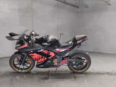 Kawasaki Ninja 250 2013