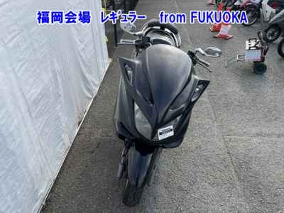 Yamaha Majesty 250C