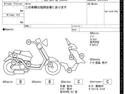 Yamaha Majesty 250C