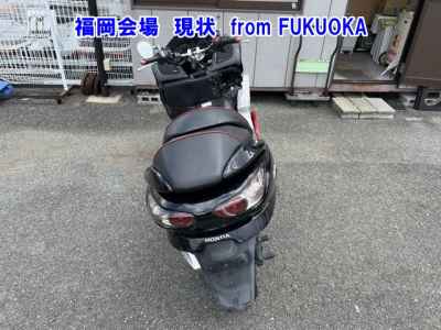 Honda Forza Z