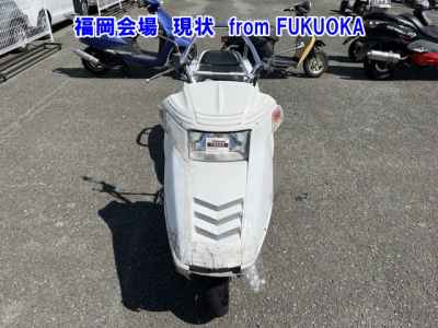 Honda Fusion X