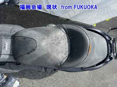 Honda Forza Z