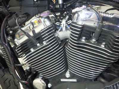 Harley-Davidson XL1200L 2009