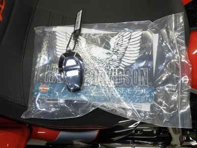 Harley-Davidson FLHXSE1980 CVO 2024