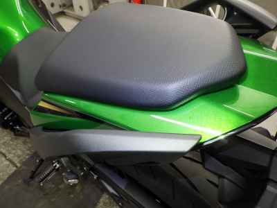 Kawasaki Ninja 1100SX 2025