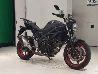 Suzuki SV650 2024