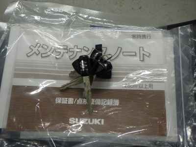 Suzuki V-Strom 250