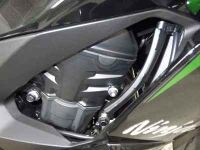 Kawasaki Ninja 1100SX 2025